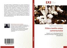 Bookcover of Filière textile coton camerounaise