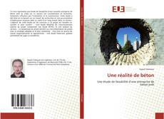 Bookcover of Une réalité de béton