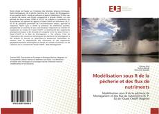 Capa do livro de Modélisation sous R de la pêcherie et des flux de nutriments 