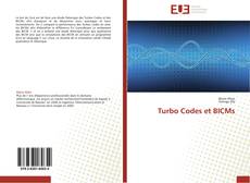 Buchcover von Turbo Codes et BICMs