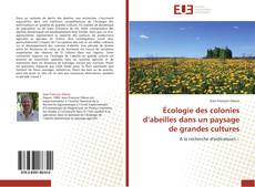 Bookcover of Écologie des colonies d’abeilles dans un paysage de grandes cultures