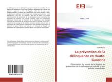 Обложка La prévention de la délinquance en Haute-Garonne