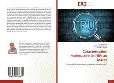 Bookcover of Caractérisation moléculaire de l'IBV au Maroc