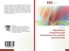 Algorithmes d’apprentissage incrémentaux du système neuronal bêta的封面