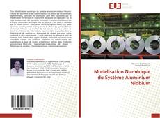 Bookcover of Modélisation Numérique du Système Aluminium Niobium
