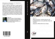 Mécanismes moléculaires de l’adaptation à la salinité chez le tilapia kitap kapağı