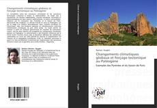 Bookcover of Changements climatiques globaux et forçage tectonique au Paléogène