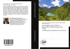 Les Argiles et les Fibres Naturelles Cellulosiques du Togo kitap kapağı