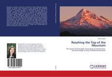 Capa do livro de Reaching the Top of the Mountain 