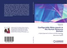 Buchcover von Configurable Meta-search in the Human Resource Domain