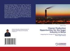 Buchcover von Cleaner Production Opportunities for the Sugar Industry in Belize