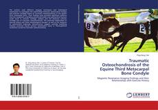 Traumatic Osteochondrosis of the Equine Third Metacarpal Bone Condyle的封面