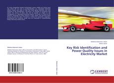 Capa do livro de Key Risk Identification and Power Quality Issues in Electricity Market 