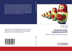 Buchcover von RUSSIAN DOLL POROELASTICITY