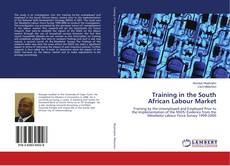 Training in the South African Labour Market的封面