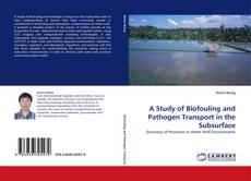 Copertina di A Study of Biofouling and Pathogen Transport in the Subsurface