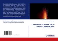 Portada del libro de Combustion of Natural Gas in Turbulent Fluidized Beds