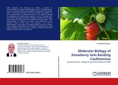 Couverture de Molecular Biology of Strawberry Vein Banding Caulimovirus