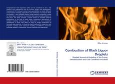 Combustion of Black Liquor Droplets的封面