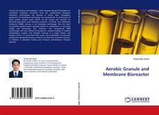 Aerobic Granule and Membrane Bioreactor kitap kapağı