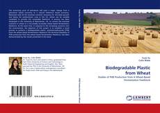 Borítókép a  Biodegradable Plastic from Wheat - hoz