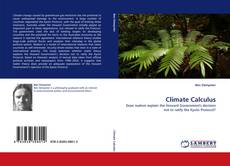 Climate Calculus kitap kapağı