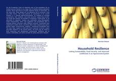 Household Resilience kitap kapağı