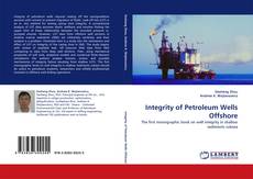 Integrity of Petroleum Wells Offshore kitap kapağı