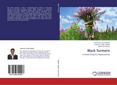 Buchcover von Black Turmeric
