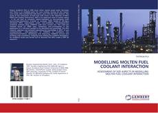 MODELLING MOLTEN FUEL COOLANT INTERACTION kitap kapağı