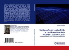 Multigap Superconductivity in the Heavy Fermions PrOs4Sb12 and CeCoIn5 kitap kapağı