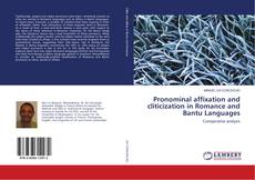 Pronominal affixation and cliticization in Romance and Bantu Languages kitap kapağı