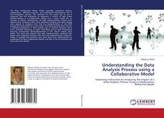 Copertina di Understanding the Data Analysis Process using a Collaborative Model