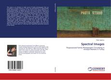 Bookcover of Spectral Images