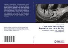 Portada del libro de Class and Consciousness Formation in a Local Setting