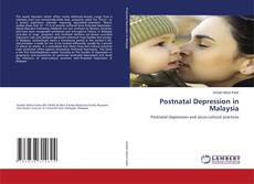 Postnatal Depression in Malaysia的封面