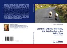 Economic Growth, Inequality, and Social Justice in the Celtic Tiger的封面