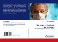 The Secret to Retaining Novice Nurses kitap kapağı