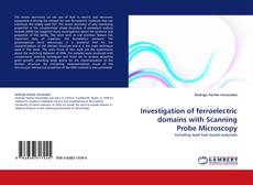 Capa do livro de Investigation of ferroelectric domains with Scanning Probe Microscopy 