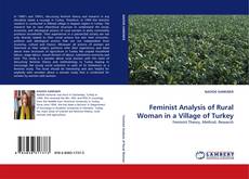 Feminist Analysis of Rural Woman in a Village of Turkey的封面