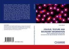Bookcover of COLOUR, TEXTURE AND BOUNDARY INFORMATION