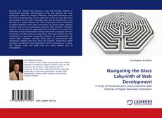 Buchcover von Navigating the Glass Labyrinth of Web Development