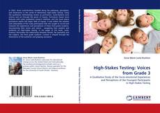 Capa do livro de High-Stakes Testing: Voices from Grade 3 