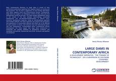 LARGE DAMS IN CONTEMPORARY AFRICA kitap kapağı