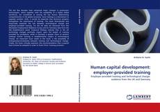 Human capital development: employer-provided training kitap kapağı