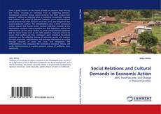 Capa do livro de Social Relations and Cultural Demands in Economic Action 