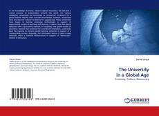 Bookcover of The University in a Global Age