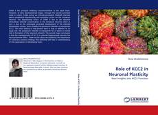 Buchcover von Role of KCC2 in Neuronal Plasticity