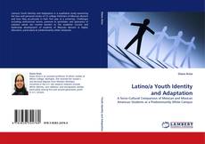 Latino/a Youth Identity and Adaptation kitap kapağı
