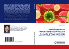 Buchcover von Modelling Human Immunodeficiency Virus and Hepatitis C Virus Epidemics